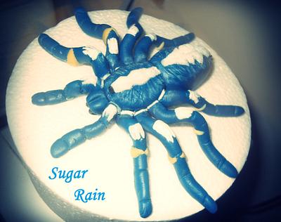 Spider - Cake by SugarRain