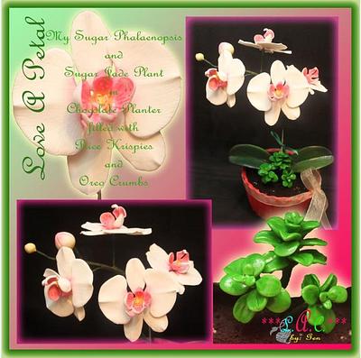 Sugar Phalaenopsis and Jade Plants - Cake by genzLoveACake