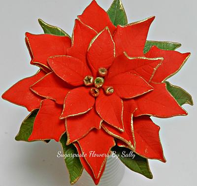 Gold edged, red Poinsettia. - Cake by SallyMack