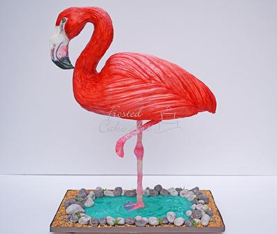 Flamingo Cake! - Cake by Seema Acharya