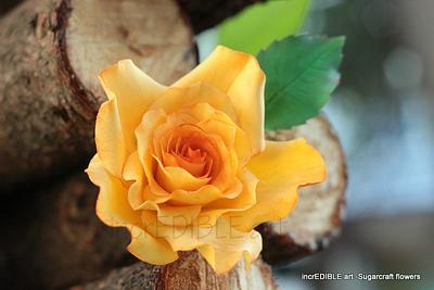Delicate Garden Rose made of Flowerpaste - Cake by Rumana Jaseel