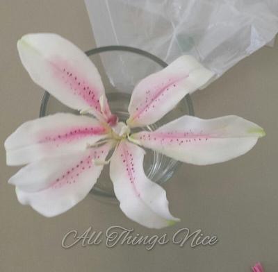  My First lily  - Cake by All things nice 