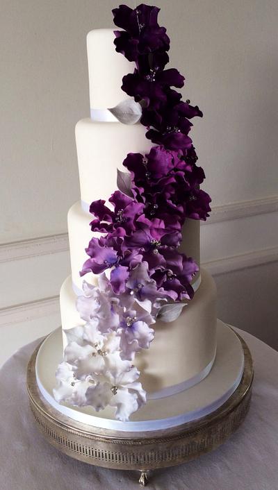 Purple reign - Cake by Crumbssandbach