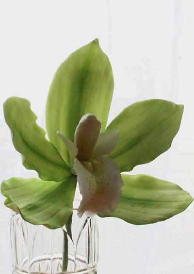 Sugar Cymbidium Orchid - Cake by Julz Pilkington
