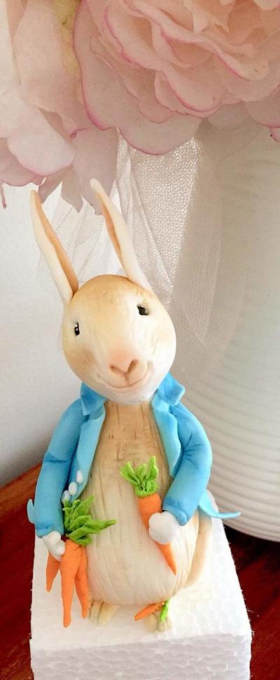 Peter Rabbit  - Cake by Tracy Jabelles Cakes