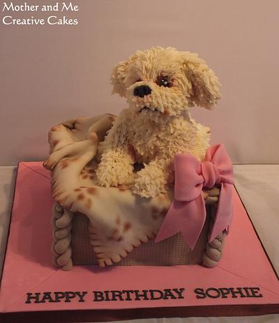 Cute little Dog in Basket - Cake by Mother and Me Creative Cakes