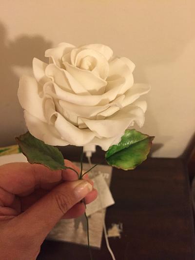 my fondant white rose rose - Cake by michal katz