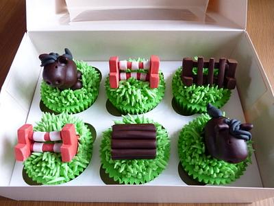 Horse and jumps cupcakes - Cake by Sharon Todd
