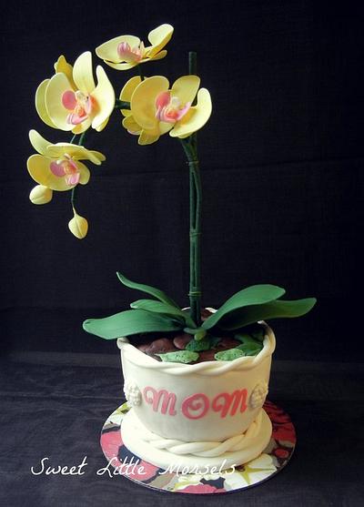 Orchid Cake - Cake by Stephanie