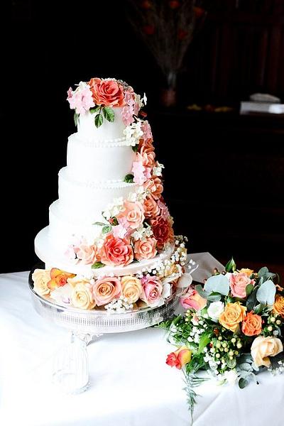Coral Roses - Cake by Kelly Mitchell