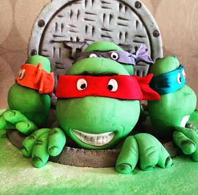 Ninja turtle birthday csjr - Cake by Shannon