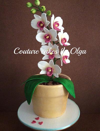 Orchids in a flower pot - Cake by Couture cakes by Olga
