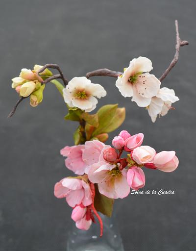 Flower Paste Blossoms - Cake by Sonia de la Cuadra