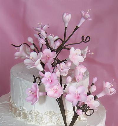 Cherry Blossoms - Cake by Lorri