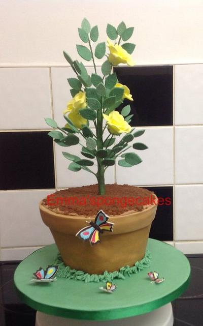 Potted rose bush cake - Cake by Emma constant