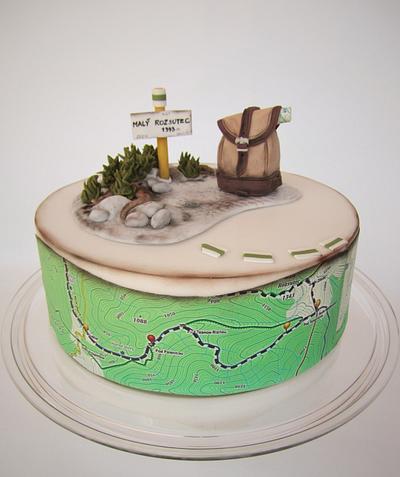 birthday cake for a passionate tourist - Cake by daruj tortu