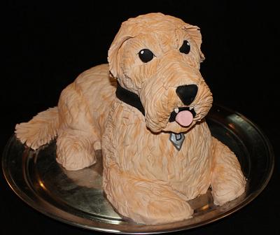 Dog Cake - Cake by Ciccio 