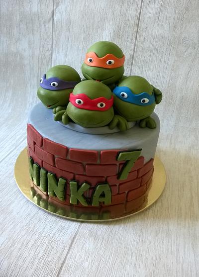 Ninja turtles - Cake by Novanka
