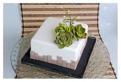 Anniversary with succulents - Cake by Silvia Caeiro Cakes
