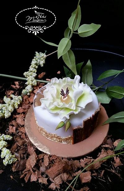 Cake Nature theme - Cake by Fées Maison (AHMADI)
