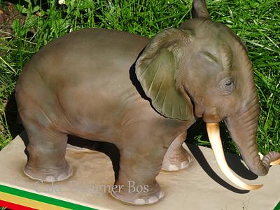 The African  elephant - Cake by Martin Bos