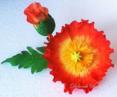 Iceland poppy - Cake by Sugared Inspirations by Debbie