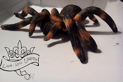 Modeling chocolate tarantula - Cake by Lily-rose cakery