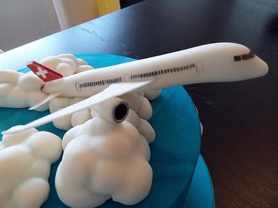 Airplane Birthday Cake - Cake by Una's Cake Studio