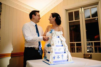 Themed Wedding Cake - Cake by Naomi's Shaken & Baken