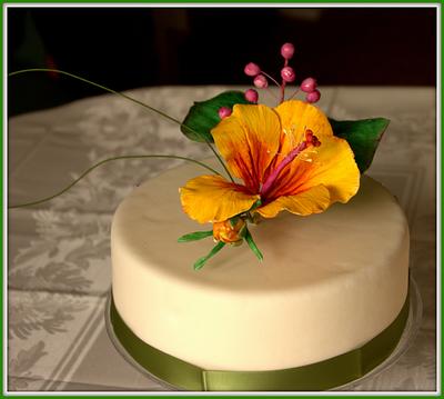 hibiscus cake - Cake by Jiřina Matějková