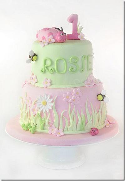 1st Birthday Little Girl Cake Ladybird / Bug Themed  - Cake by Jo Johnston
