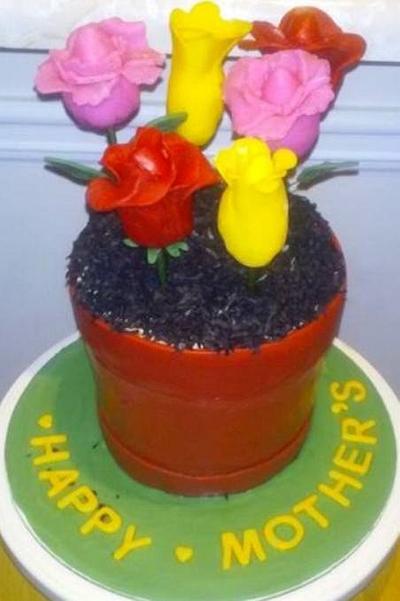 Flower Pot Cake - Cake by givethemcake