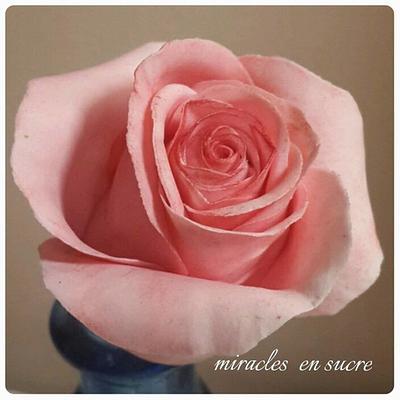 gumpaste pink rose cake topper - Cake by miracles_ensucre