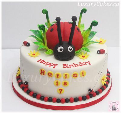 Lady Bug cake - Cake by Sobi Thiru