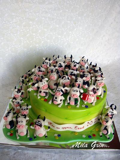 Fun cows - Cake by Mila