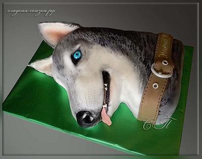 Cake "Husky Dog" - Cake by Svetlana
