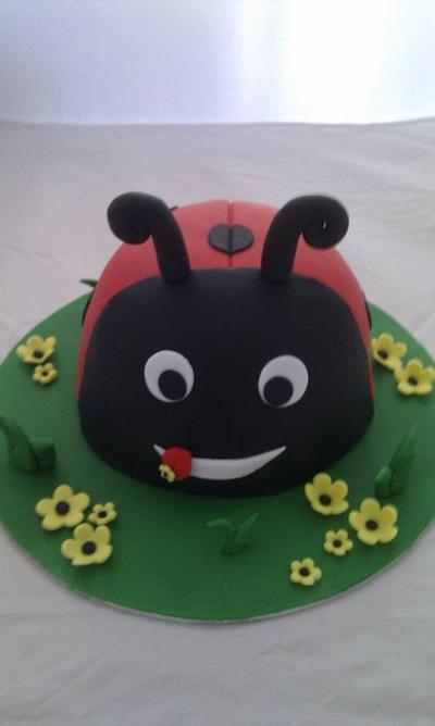 Ladybird Cake - Cake by Janne Regan