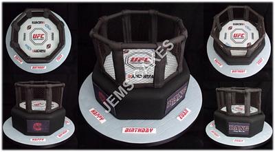 MMA Cage - Cake by Cakemaker1965