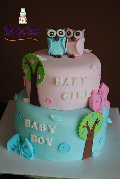 Twin Owls Baby Shower Cake - Cake by Baby Got Cakes