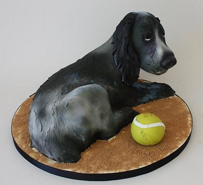 Spaniel fun in the sand! - Cake by Happyhills Cakes