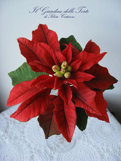 Christmas Poinsettia - Cake by Silvia Costanzo