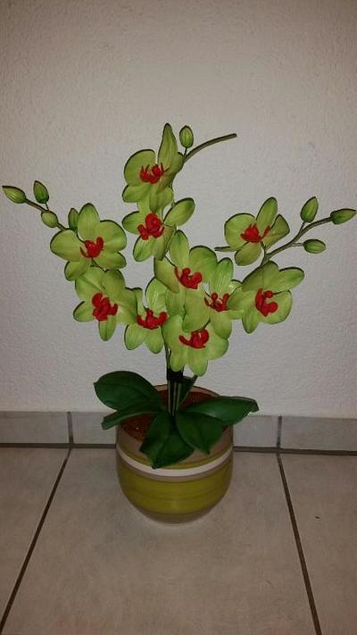 Green Orchids.... - Cake by Weys Cakes