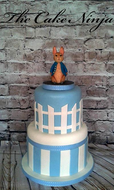 Peter Rabbit - Cake by Tiddy