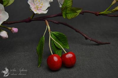 Cherries - Cake by JarkaSipkova