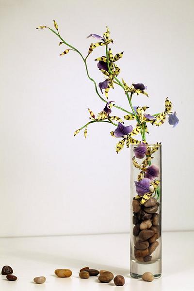 Gumpaste Lemboglussom Orchids..  - Cake by Shaile's Edible Art