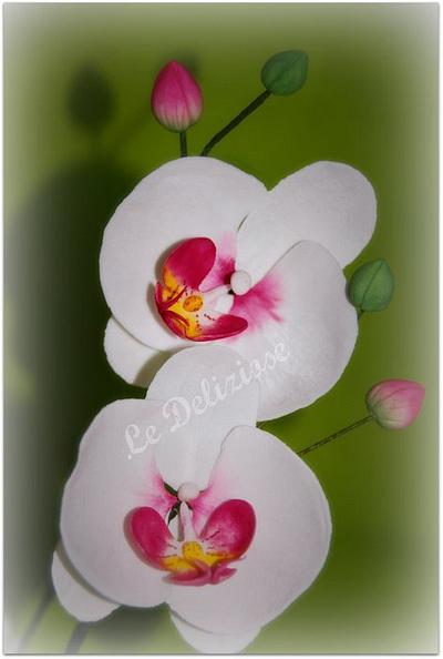 moth orchid - Cake by LeDeliziose