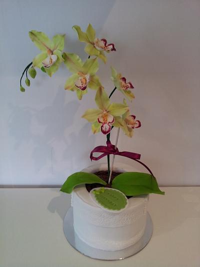 An orchid cake  - Cake by Bistra Dean 