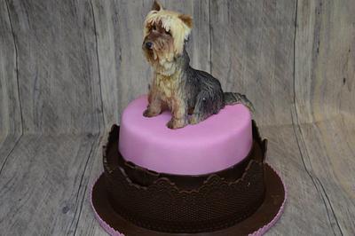 Yorshire Terrier - Cake by JarkaSipkova
