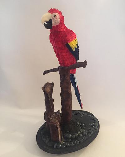 Parrot - Cake by Denise Makes Cakes