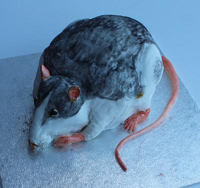 Husky Rat - Cake by Tracey